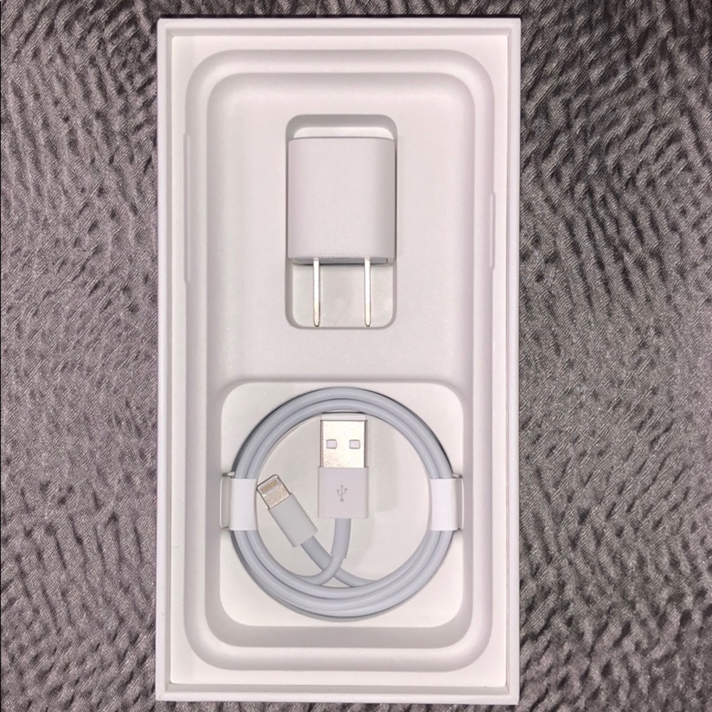 Apple Charger